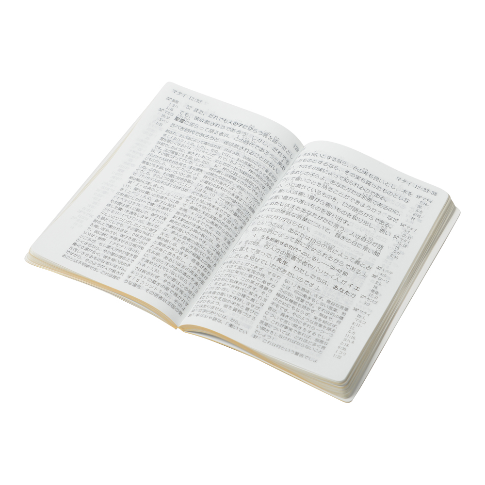 新約聖書回復訳　マタイによる福音書　分冊聖書②
