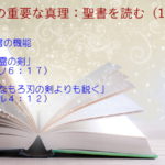 聖書の機能:聖書の言葉はその霊の剣です「その霊の剣」「どんなもろ刃の剣よりも鋭く」:聖書の重要な真理【聖書を読む】(10)
