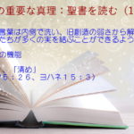 聖書の機能:聖書の言葉は内側で洗い、旧創造の弱さから解放し、わたしたちが多くの実を結ぶことができるようにする「洗い」「清め」:聖書の重要な真理【聖書を読む】(12)