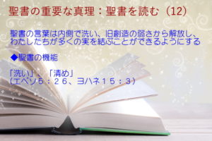 聖書の機能:聖書の言葉は内側で洗い、旧創造の弱さから解放し、わたしたちが多くの実を結ぶことができるようにする「洗い」「清め」:聖書の重要な真理【聖書を読む】(12)