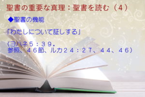 聖書の機能:「わたし(主イエス)について証しする」:聖書の重要な真理【聖書を読む】(4)