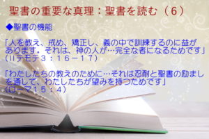 聖書の機能:「人を教え、戒め、矯正し、義の中で訓練するのに益があります」「忍耐と聖書の励ましを通して、わたしたちが望みを持つためです」:聖書の重要な真理【聖書を読む】(6)