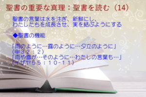 聖書の機能:聖書の言葉は水を注ぎ、新鮮にし、わたしたちを成長させ、実を結ぶようにする「雨のように…露のように…夕立のように」「雨や雪が…そのように」:聖書の重要な真理【聖書を読む】(14)