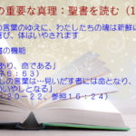 聖書の機能:聖書の言葉のゆえに、わたしたちの魂は新鮮にされ、心は喜び、体はいやされます「霊であり、命である」「わたしの言葉は…見いだす者には命となり、全身のいやしとなる」:聖書の重要な真理【聖書を読む】(16)