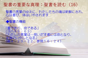聖書の機能:聖書の言葉のゆえに、わたしたちの魂は新鮮にされ、心は喜び、体はいやされます「霊であり、命である」「わたしの言葉は…見いだす者には命となり、全身のいやしとなる」:聖書の重要な真理【聖書を読む】(16)