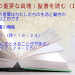 聖書の機能:聖書の言葉はわたしたちの生活と働きの堅固な土台です「参謀」「岩…にたとえることができる」:聖書の重要な真理【聖書を読む】(17)