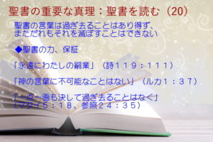 聖書の力、保証:聖書の言葉は過ぎ去ることはあり得ず、まただれもそれを滅ぼすことはできない「永遠にわたしの嗣業」「神の言葉に不可能なことはない」「一点一画も決して過ぎ去ることはなく」:聖書の重要な真理【聖書を読む】(20)