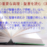 わたしたちが聖書を読んで理解したいなら、その霊の照らしを求めなければならない「その霊を通してそれらを啓示されました。その霊はすべての事柄、神の深みさえも探られるからです」:聖書の重要な真理【聖書を読む】(37)