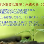 この時代において永遠の命を得る「初めから存在したもの」「この永遠の命は御父と共にいましたが、わたしたちに現れたのです」:聖書の重要な真理【永遠の命】(1)