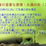 この時代において永遠の命を得る「永遠の命を得るのは信じた時である」:聖書の重要な真理【永遠の命】(3)