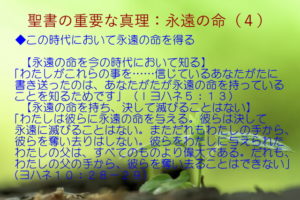この時代において永遠の命を得る「永遠の命を今の時代において知る」「永遠の命を持ち、決して滅びることはない」:聖書の重要な真理【永遠の命】(4)