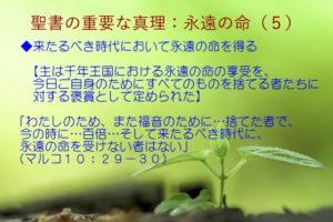 来たるべき時代において永遠の命を得る「主は千年王国における永遠の命の享受を、今日ご自身のためにすべてのものを捨てる者たちに対する褒賞として定められた」:聖書の重要な真理【永遠の命】(5)