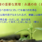 来たるべき時代において永遠の命を得る「賜物は無代価で与えられるが、褒賞には条件がある」：聖書の重要な真理【永遠の命】(８)