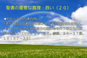 わたしたちの魂の救い「すべて自分の魂の命を救おうとする者はそれを失い、すべてわたしのために自分の魂の命を失う者はそれを見いだす」:聖書の重要な真理【救い】(20)