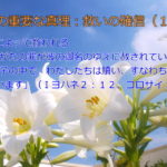 信仰によって救われる「あなたがたの罪が彼の御名のゆえに赦されている」「その御子の中で、わたしたちは贖い、すなわち罪の赦しを得ています」:聖書の重要な真理【救いの確信】(1)