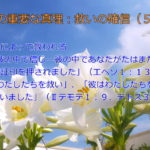 信仰によって救われる「また彼の中で信じ…彼の中であなたがたはまた…聖霊で証印を押されました」「神はわたしたちを救い」「彼はわたしたちを救ってくださいました」:聖書の重要な真理【救いの確信】(5)