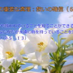 今や救われていることを知ることができる「あなたがたが永遠の命を持っていることを知る」:聖書の重要な真理【救いの確信】(6)