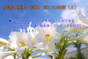 今や救われていることを知ることができる「あなたがたが永遠の命を持っていることを知る」:聖書の重要な真理【救いの確信】(6)