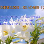 わたしたちが救われていることを知る「これが証しです。すなわち、神がわたしたちに永遠の命を与えられ」:聖書の重要な真理【救いの確信】(12)