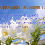 わたしたちが救われていることを知る「わたしたちは死から命へと移っていることを知っています。なぜなら、わたしたちは兄弟たちを愛しているからです」:聖書の重要な真理【救いの確信】(15)