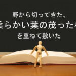 野から切ってきた、柔らかい葉の茂った枝を重ねて敷いた:回復訳聖書と他の日本語訳との比較(80)